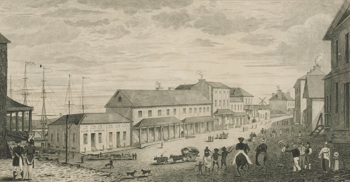 Lower George Street Sydney 1828, Sydney city centre