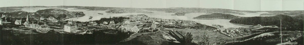 Historic Sydney Panorama, Sydney Harbour (1875)