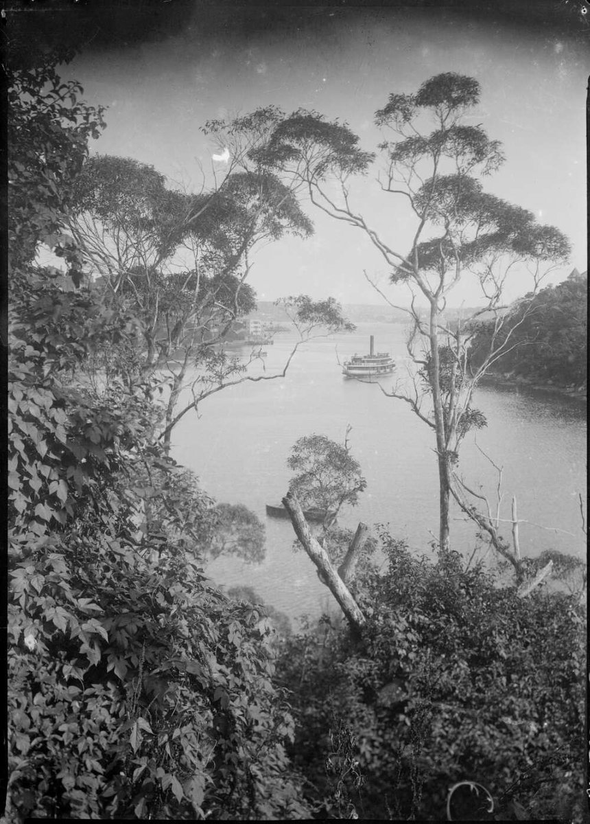 Sydney ferry KIRAWA leaving Old Cremorne Wharf in Mosman Bay (1920–35)
