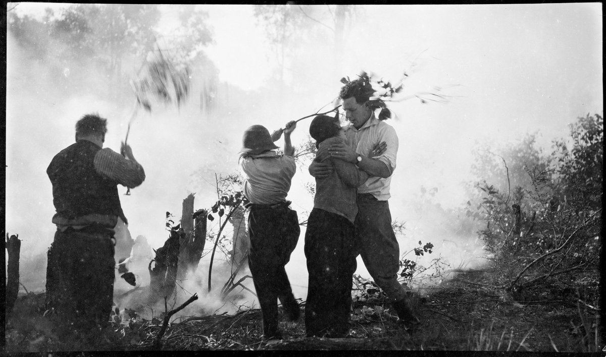 Film party in the bush, in a bushfire, ca. 1925 (original envelope marked "Mr Marks", portraits incl. and a C & W cinema camera.) (Possibly the film "Joe", 1924), by Sam Hood - 5938934182 (1924–25)