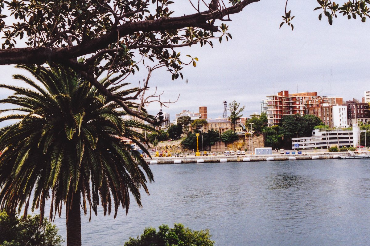 Sydney Botanical Gardens, Sydney city centre (1991)