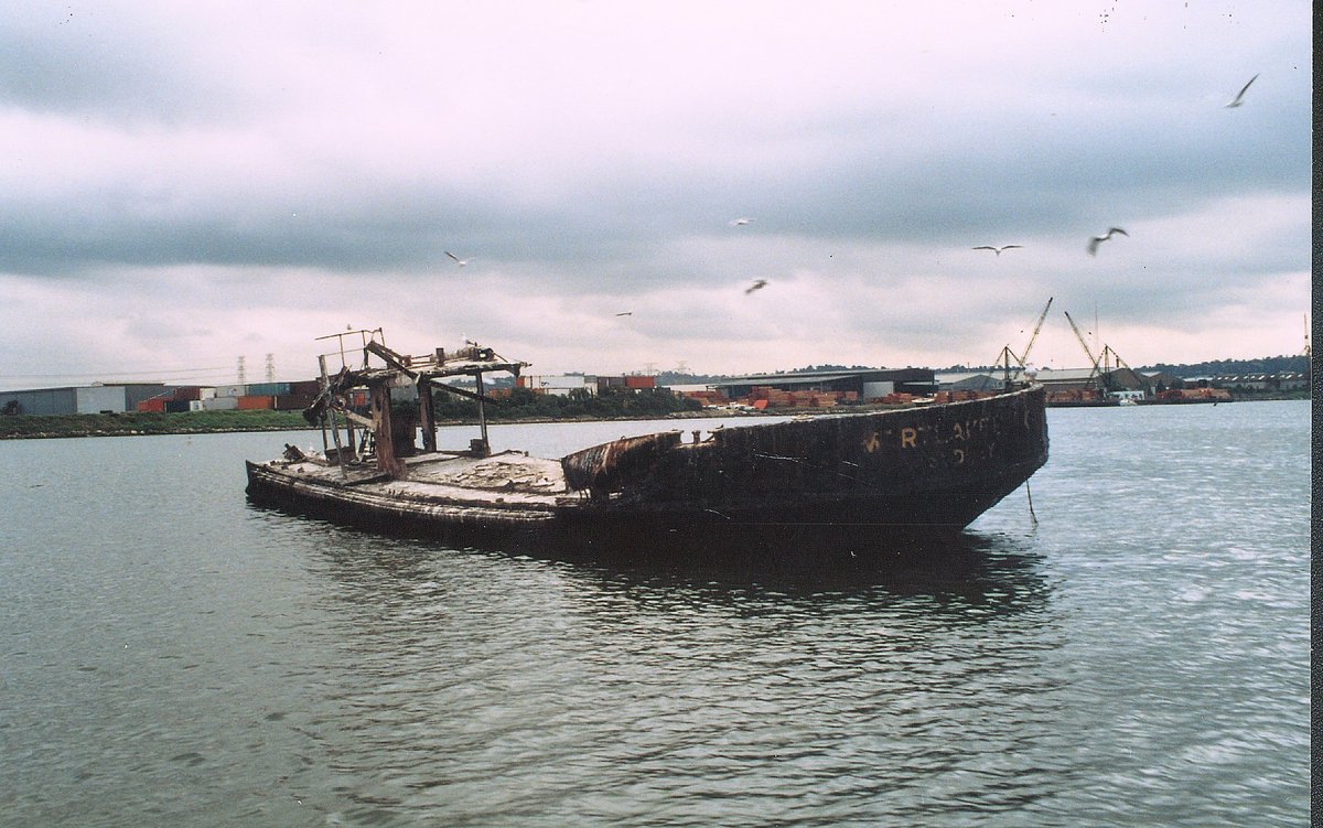 Homebush Bay, NSW - Hulk of Mortlake Bank, 1987 (Graeme Andrews, City of Sydney Archives)