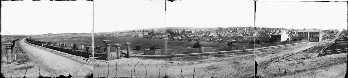 Panorama of Moore Park c1875 slnsw (c. 1875)