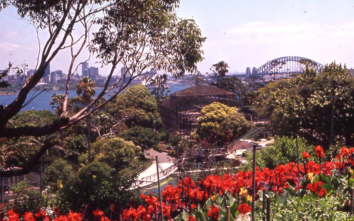 66-333 Taronga Zoo Sydney Australia 1966, Mosman