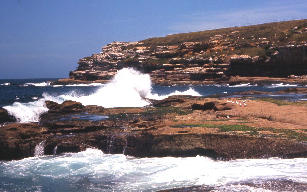 66-335 Sydney Bondi Beach Australia 1966