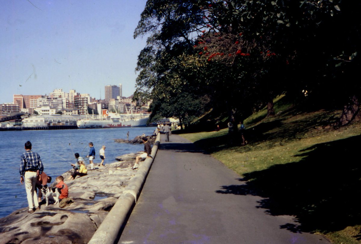 68-074 Nr Mrs Macquarie's Seat Sydney 1968, Sydney city centre