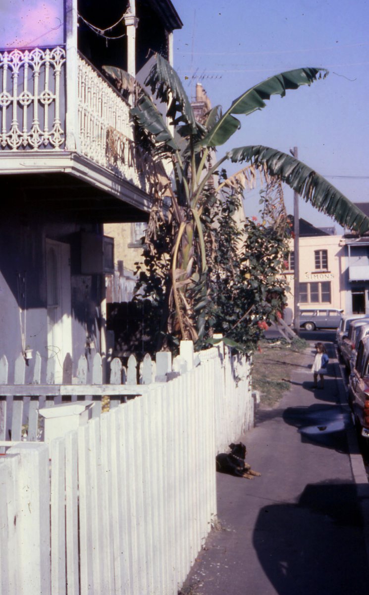 68-086 Paddington Sydney 1968