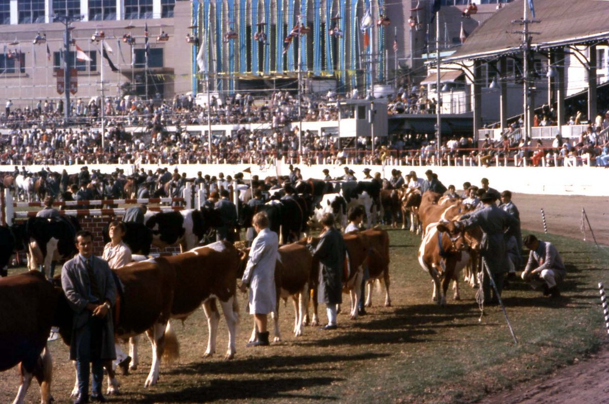 70-641 Grand Parade Royal Easter Show, Sydney 1970, Moore Park