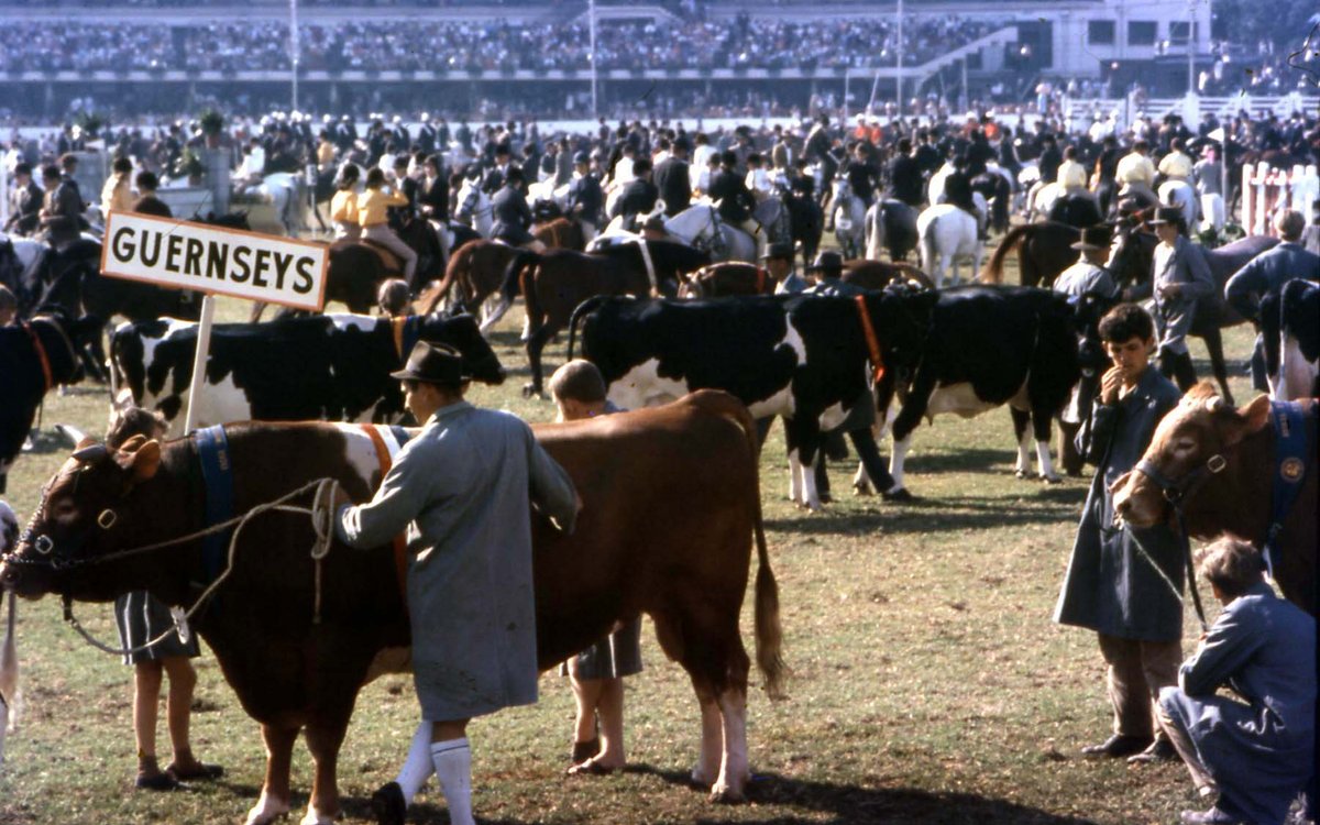 70-642 Grand Parade Royal Easter Show, Sydney 1970, Moore Park