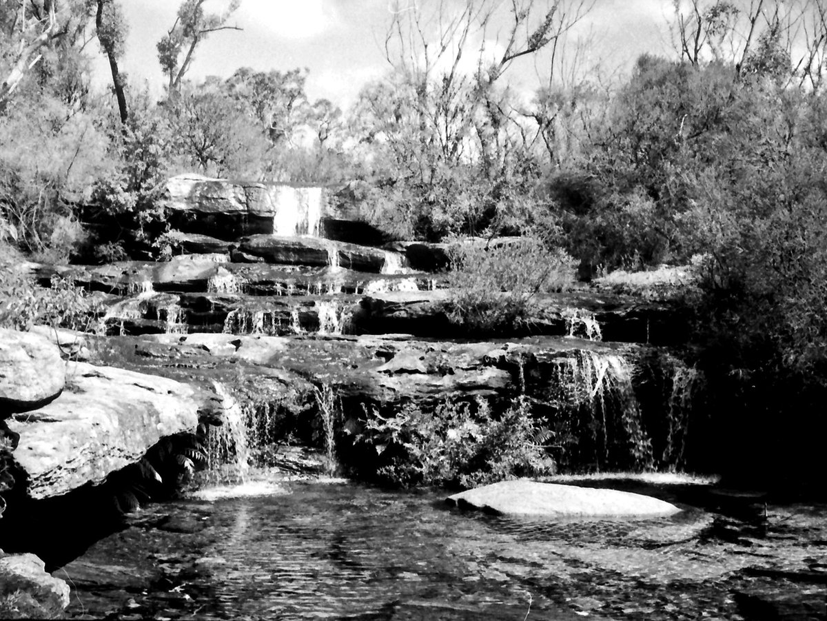69-09 Royal National Park 438, Australia 1969, Sydney