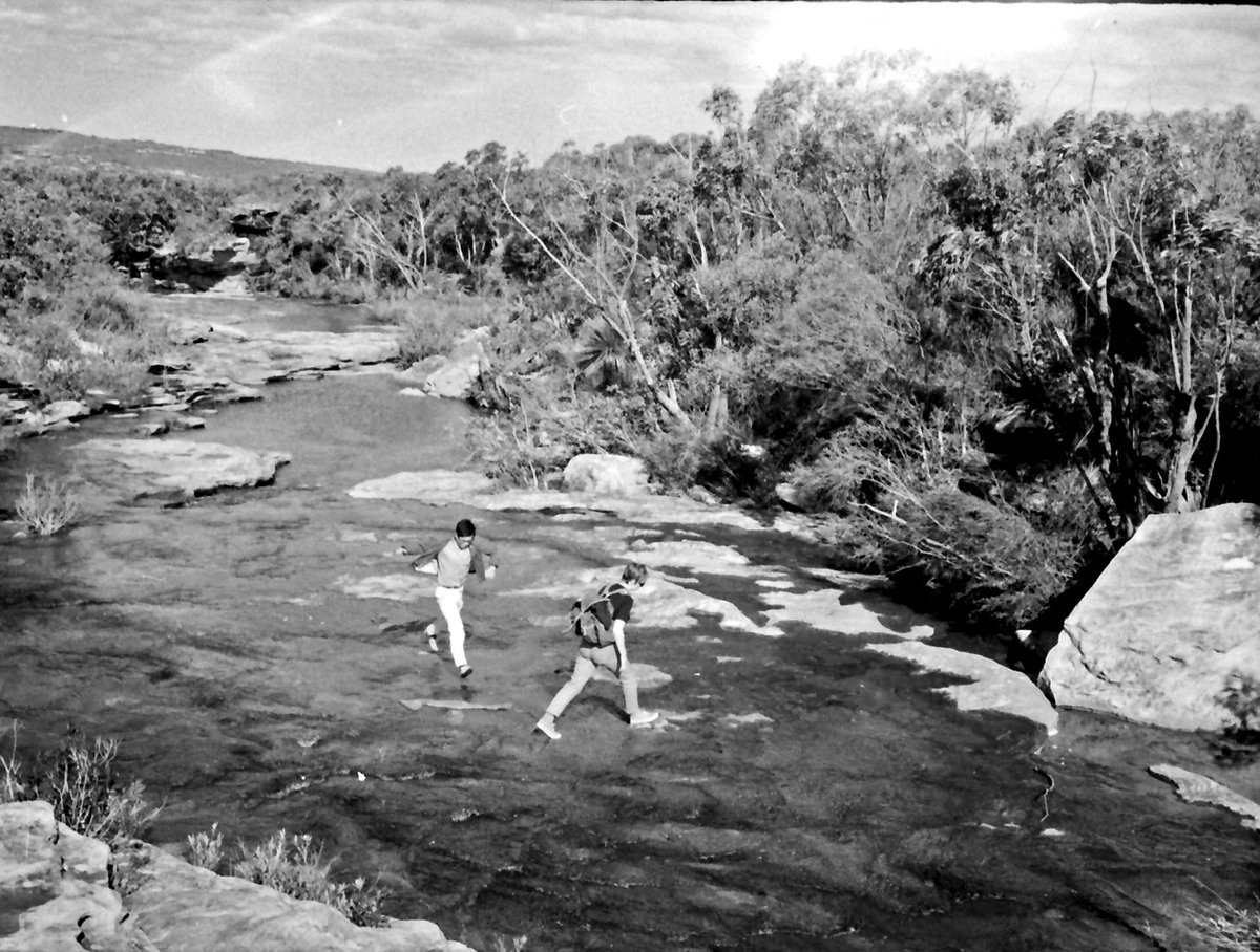 69-09 Royal National Park 445, Australia 1969, Sydney