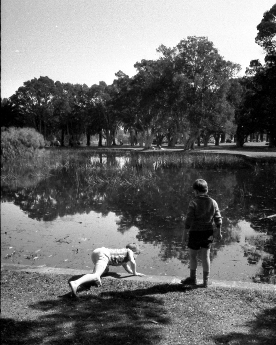 68-09 Centennial Park 3, Sydney 1968, Moore Park