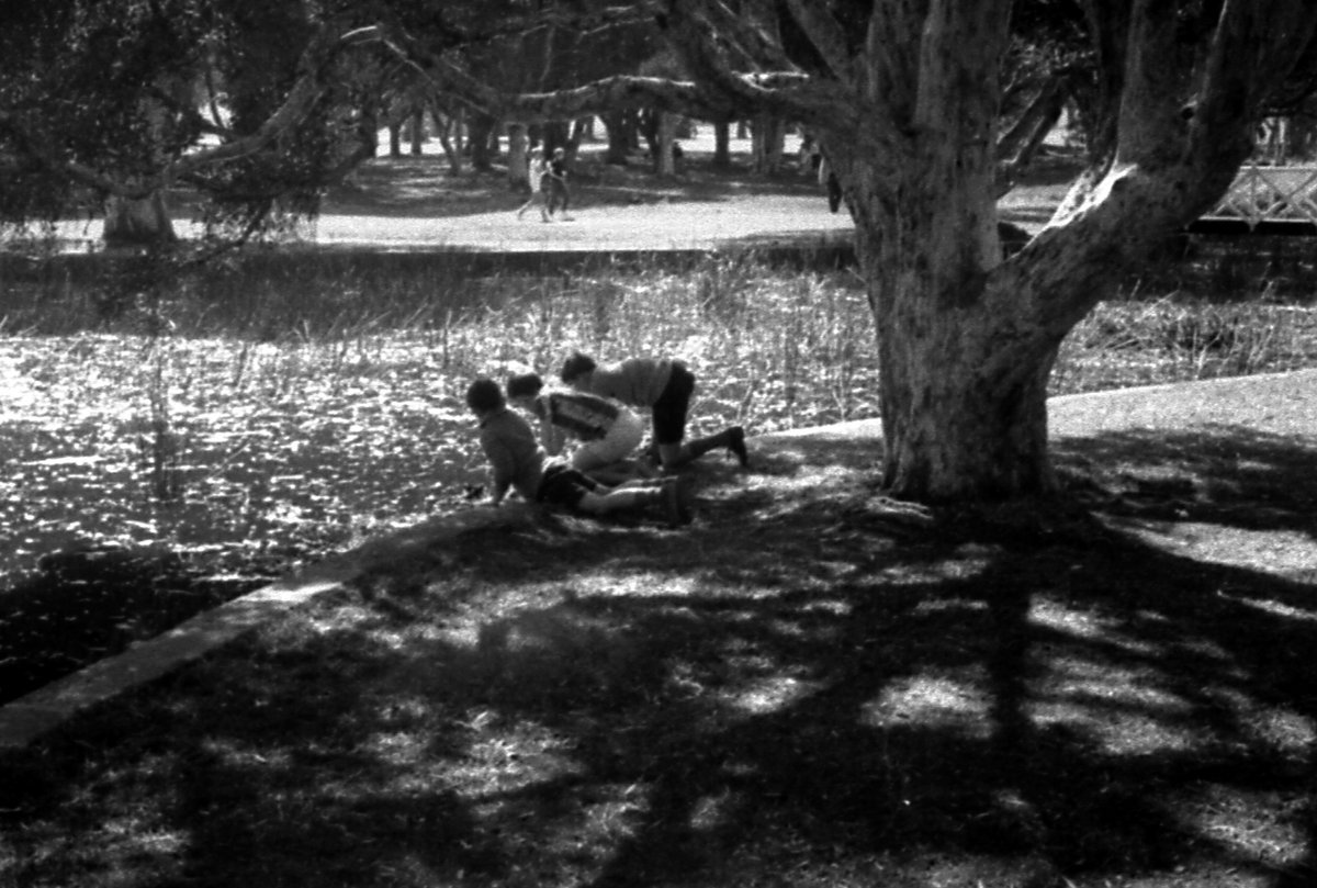 68-09 Centennial Park 4, Sydney 1968, Moore Park