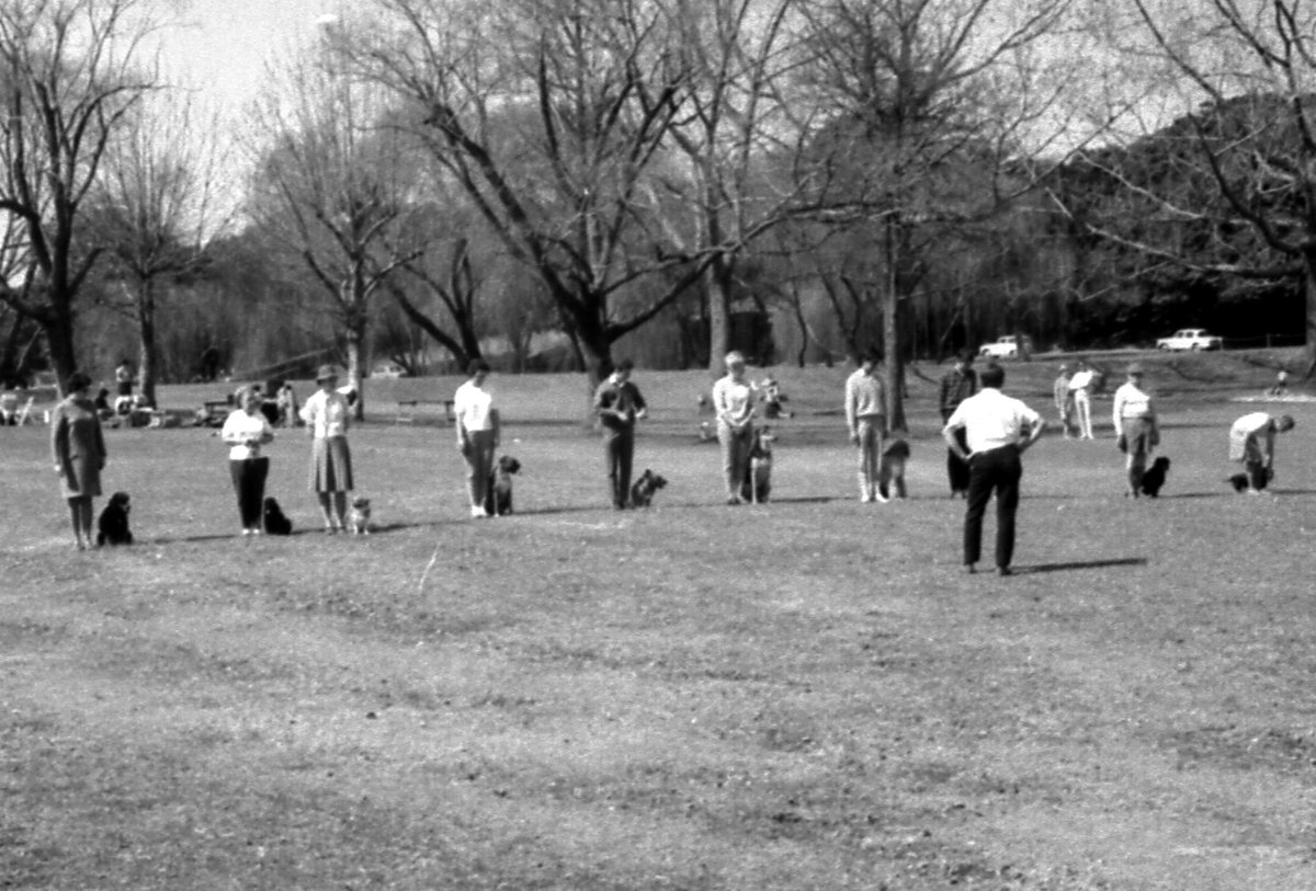 68-09 Centennial Park 5, Sydney 1968, Moore Park