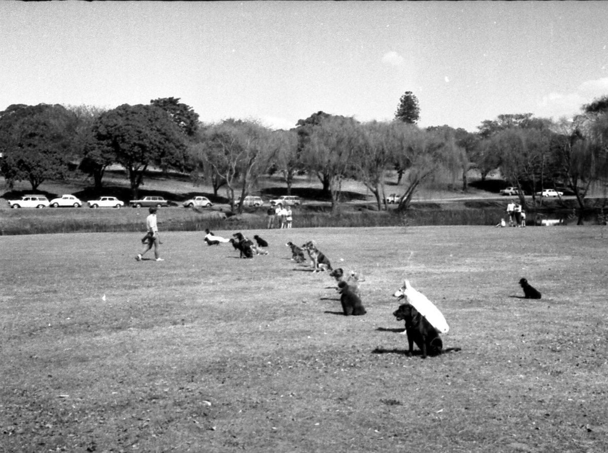 68-09 Centennial Park 8, Sydney 1968, Moore Park
