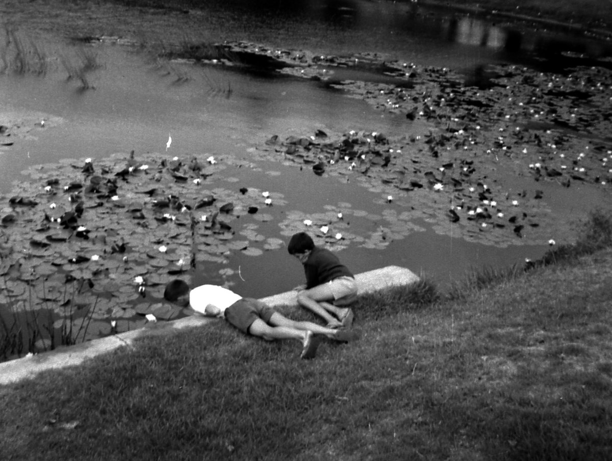 69-03 Centennial Park 5, Sydney 1969, Moore Park