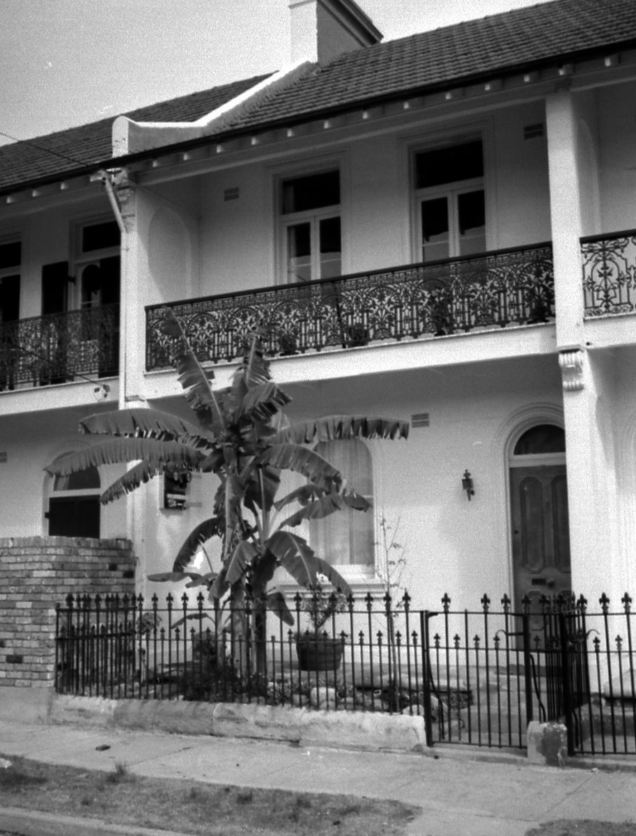 69-03 Paddington 14, Sydney 1969