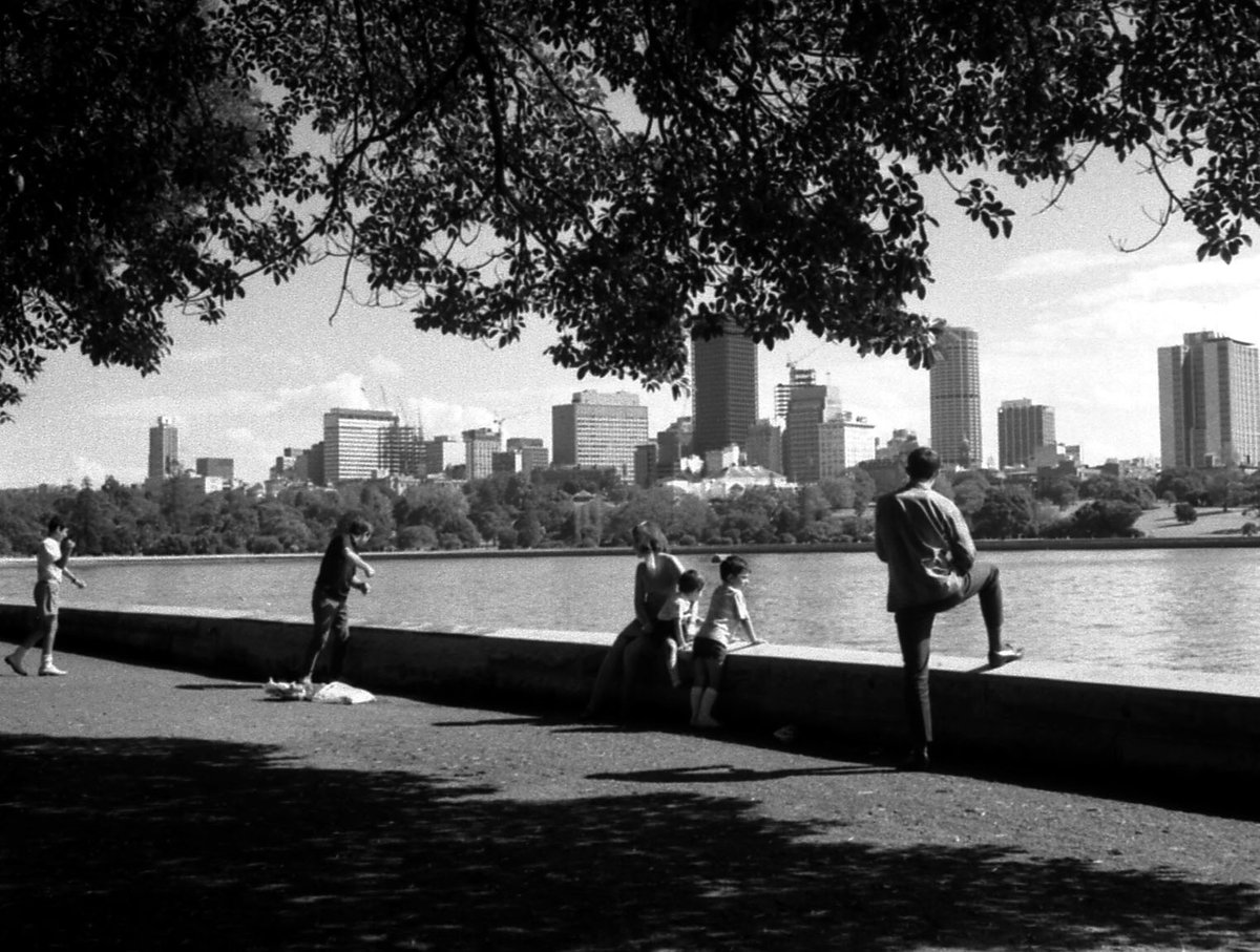 69-04 Botanical Gdns vicinity 03, Sydney 1969, Sydney city centre