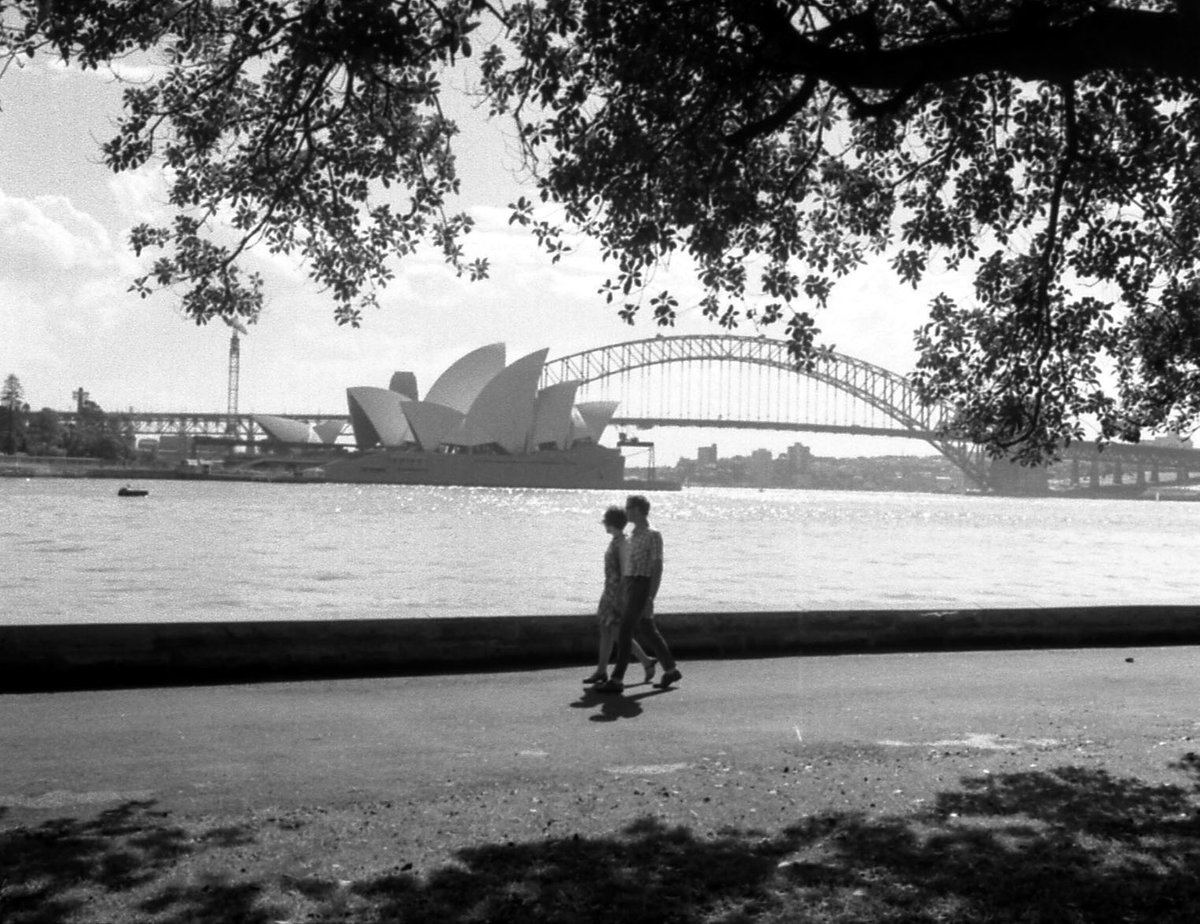 69-04 Botanical Gdns vicinity 08, Sydney 1969, Sydney city centre