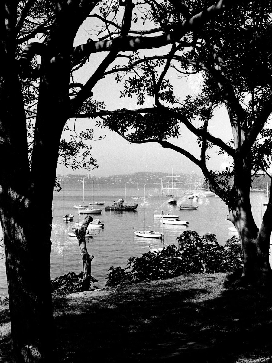 163 Sydney, Mosman Bay, Aug 1976