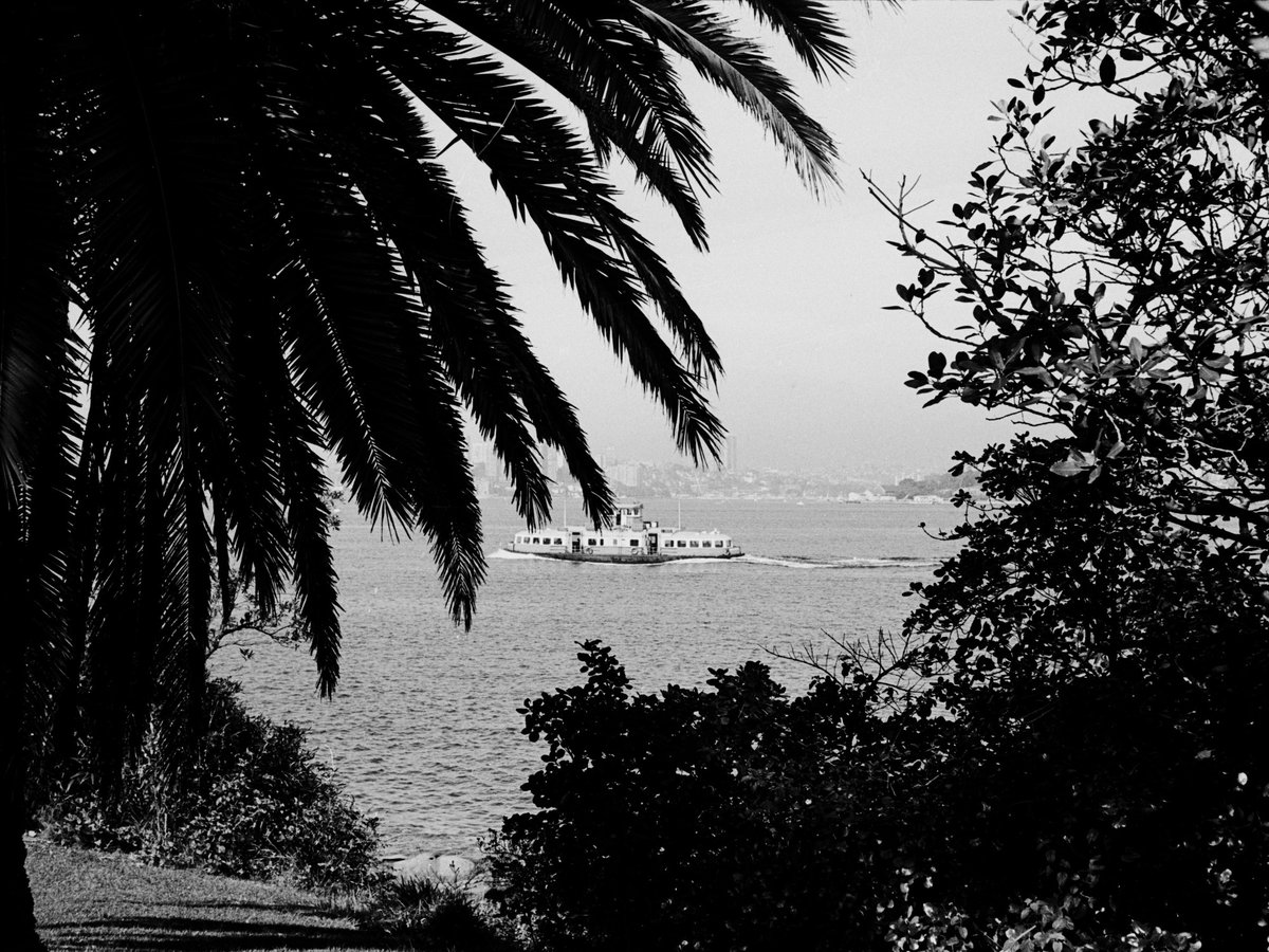 170 Sydney, Cremorne Point Aug 1976