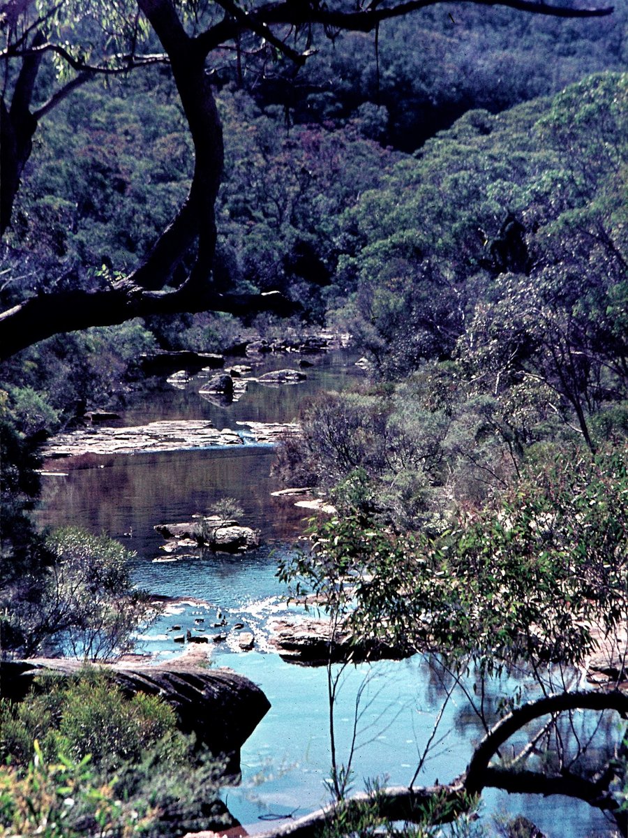 191 Heathcote State Park, Aug 1976