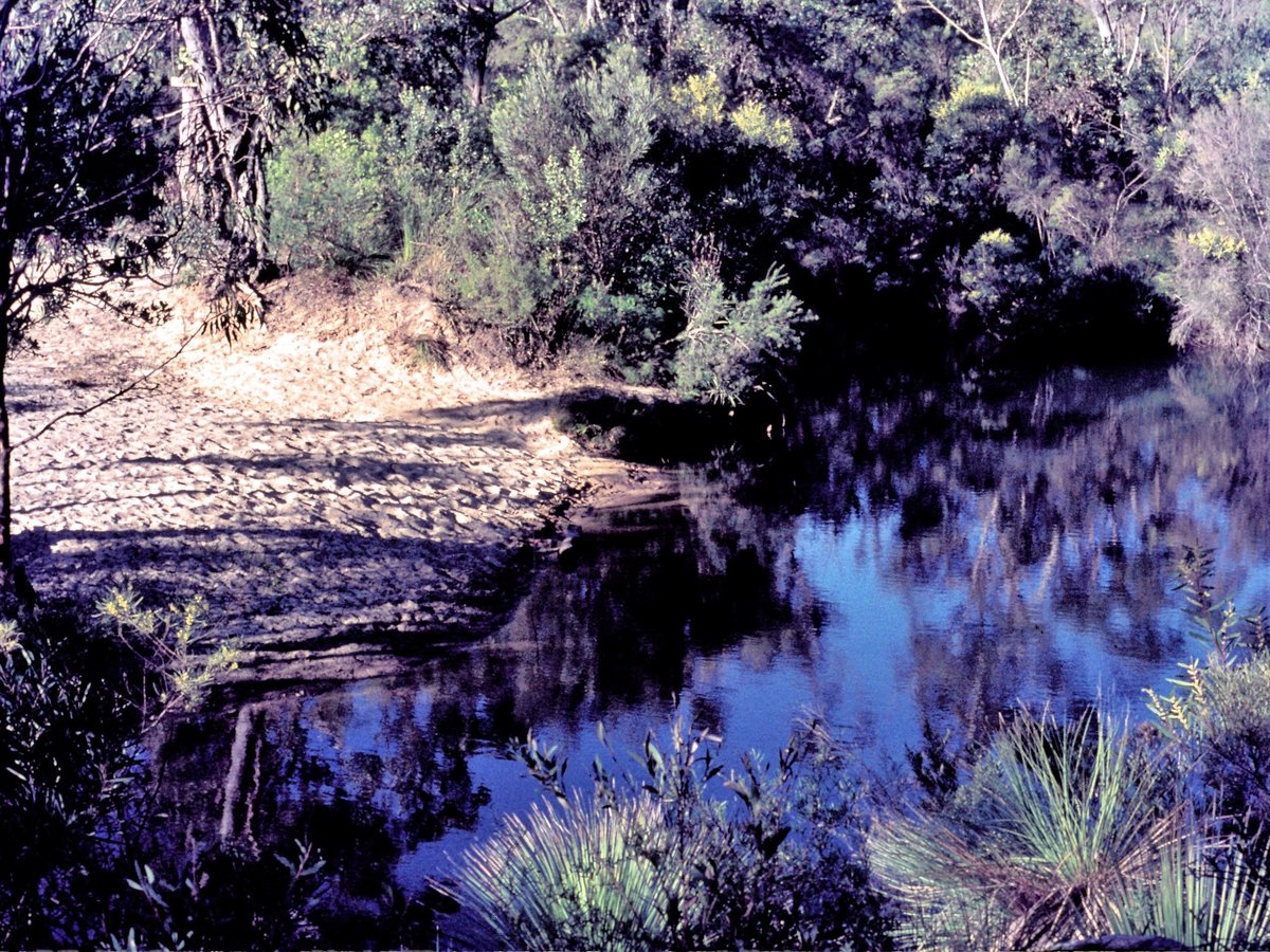 196 Heathcote State Park, Aug 1976