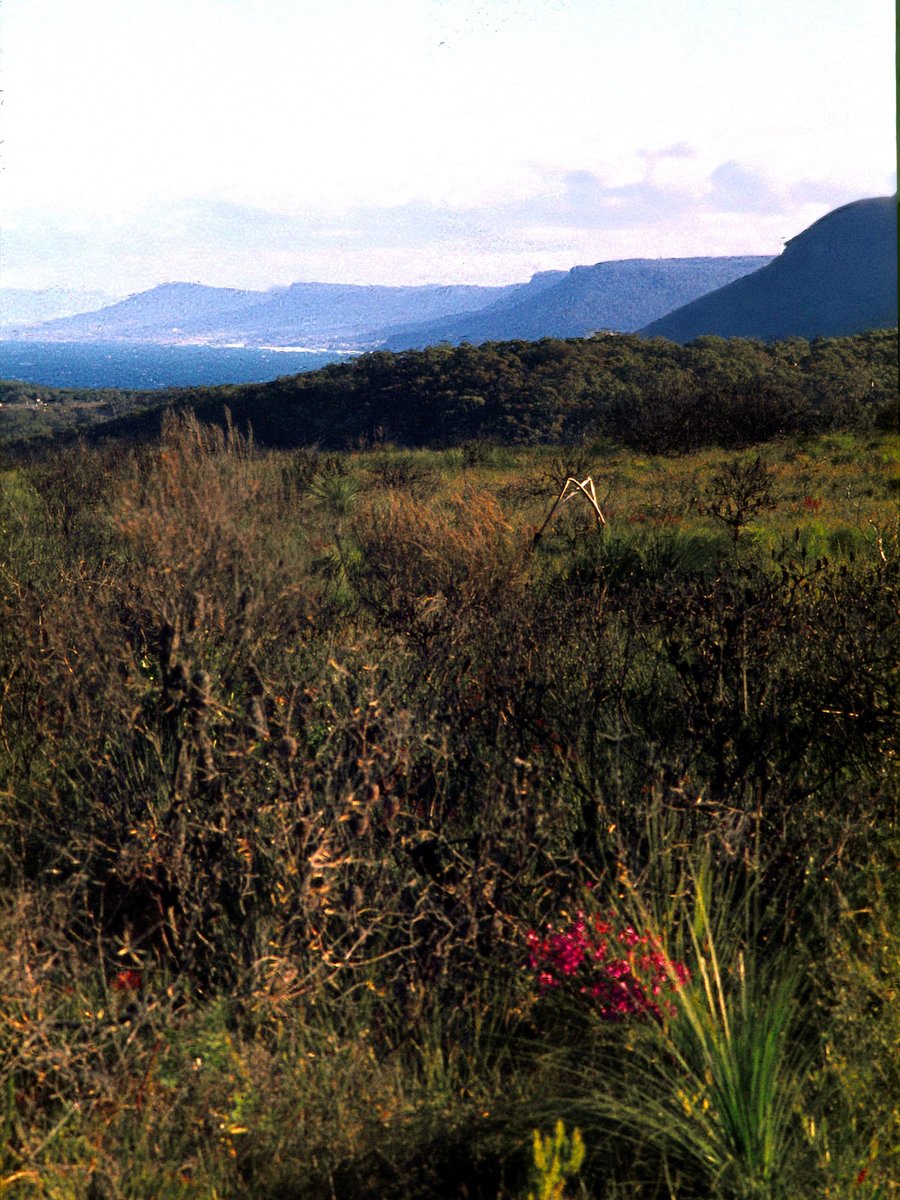 025 Royal Nat Pk, Aug 1978, Sutherland