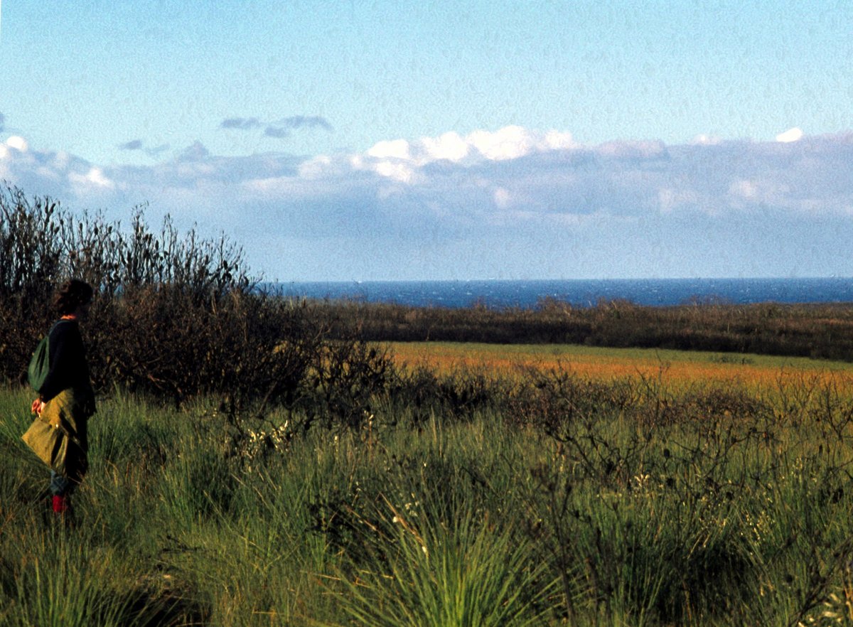 023 Royal Nat Pk, Aug 1978, Sutherland