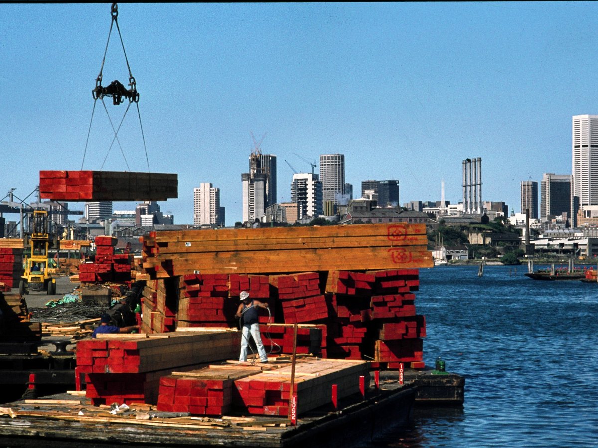046 Blackwattle Bay, Oct 1978, Glebe