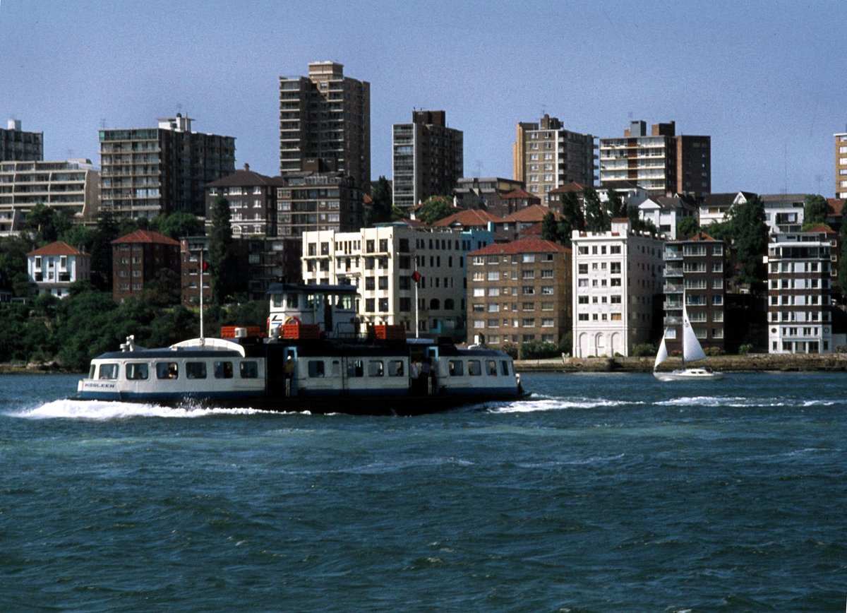 304 Sydney Harbour, Kiribilli, Dec 79 (1979)