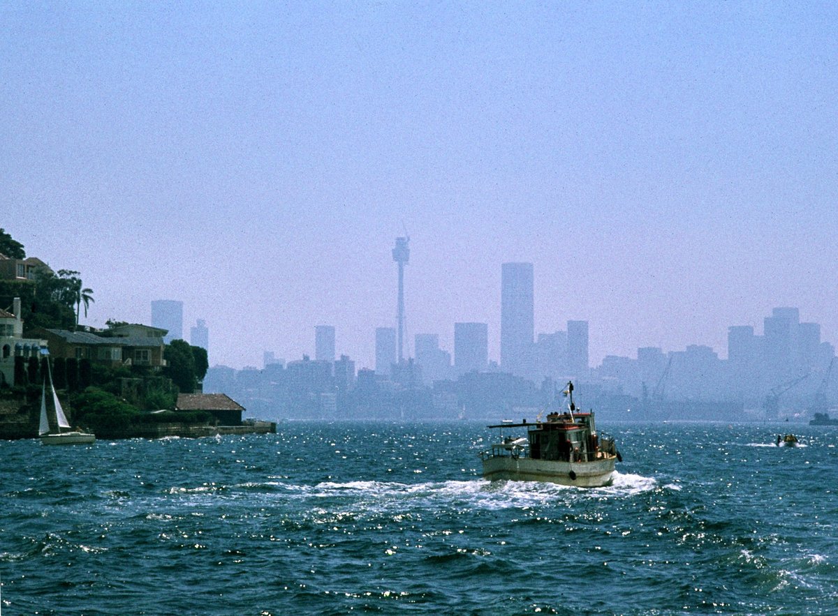 313 Harbour Cruise, Dec 79, Sydney (1979)