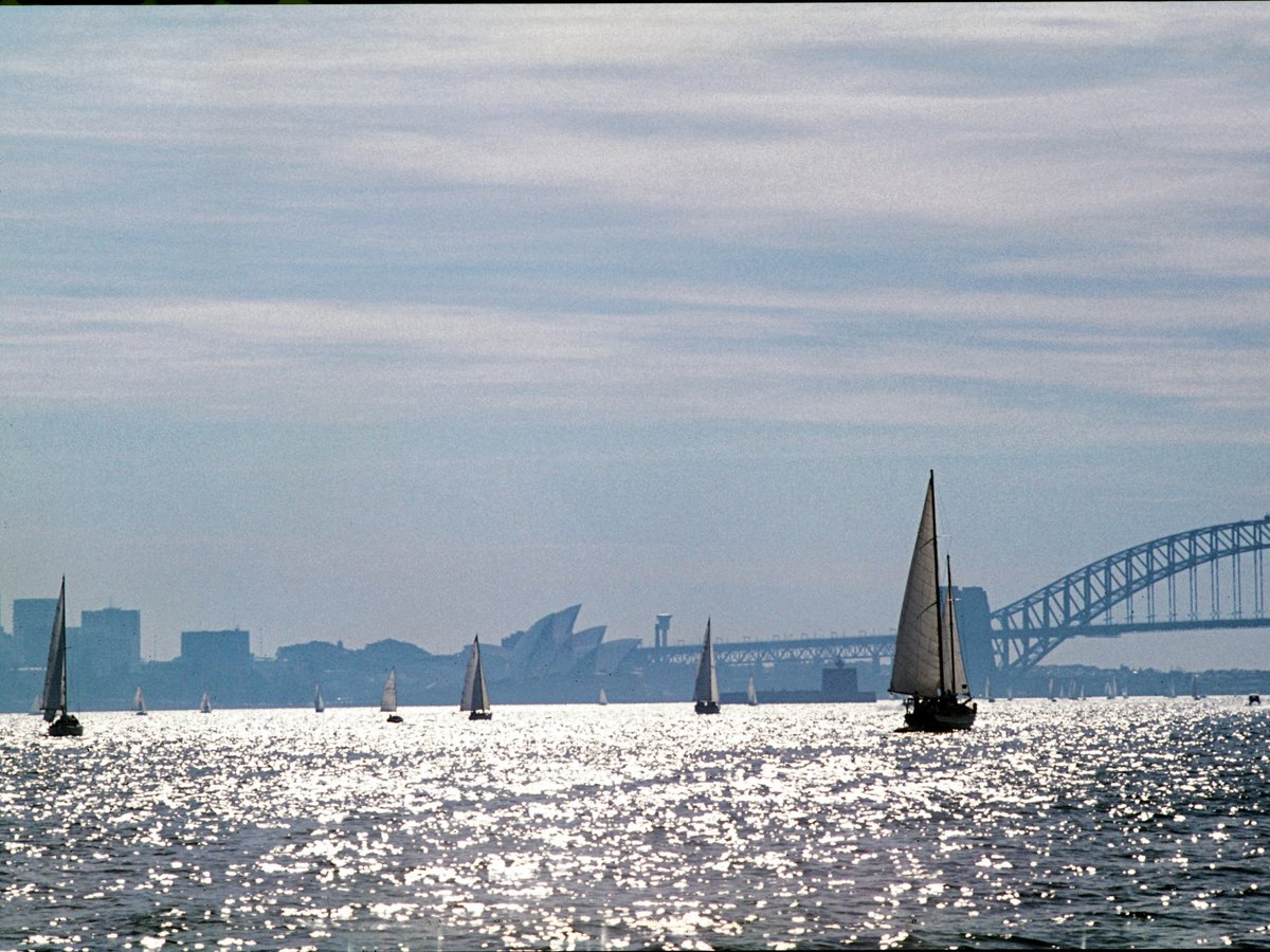 316 Harbour Cruise, Dec 79, Sydney Harbour (1979)