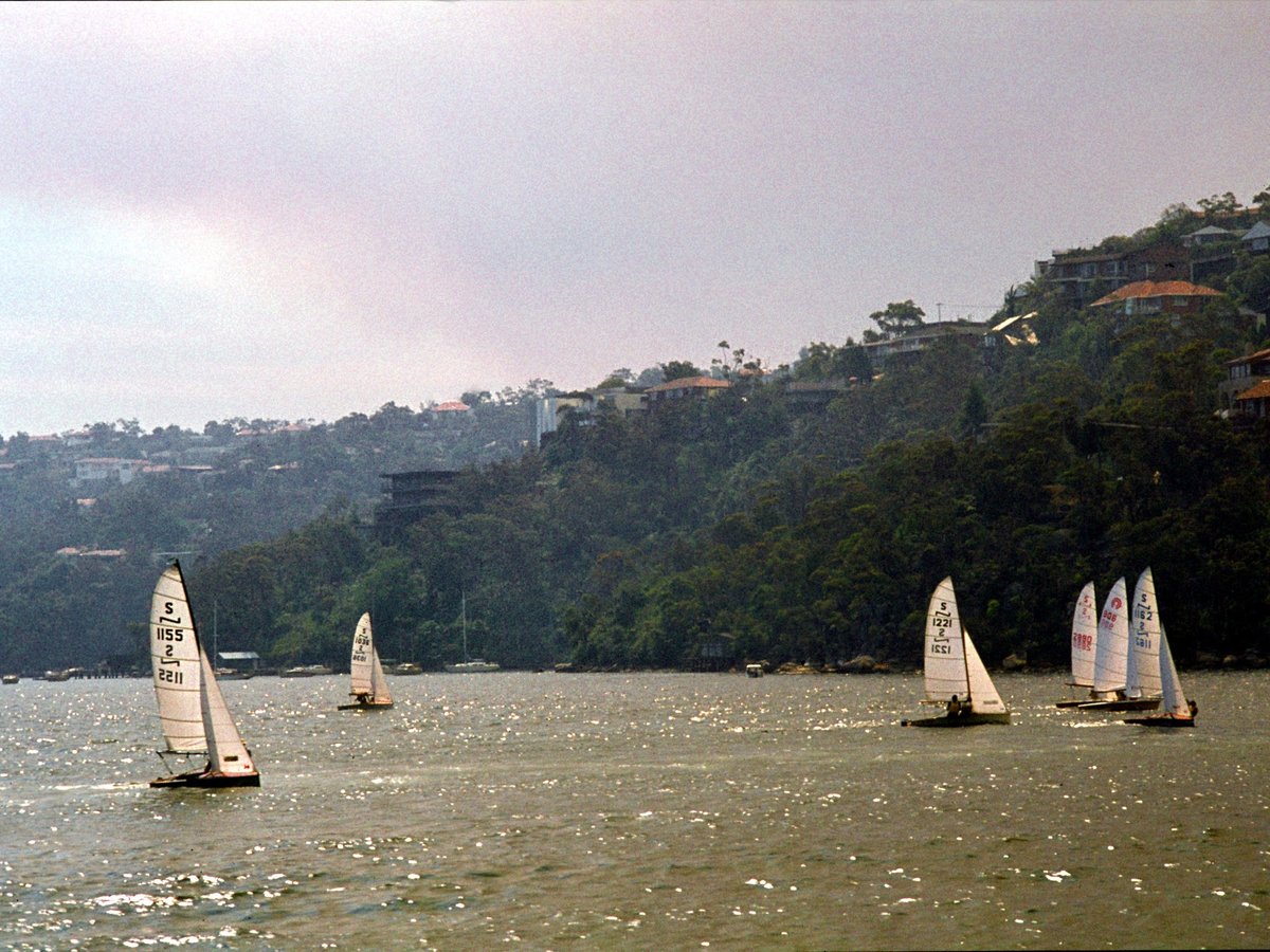 315 Harbour Cruise, Dec 79, Sydney Harbour (1979)