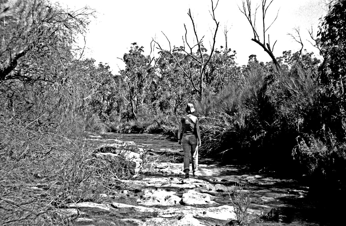 Camping in Heathcote SRA, Sydney, 1980