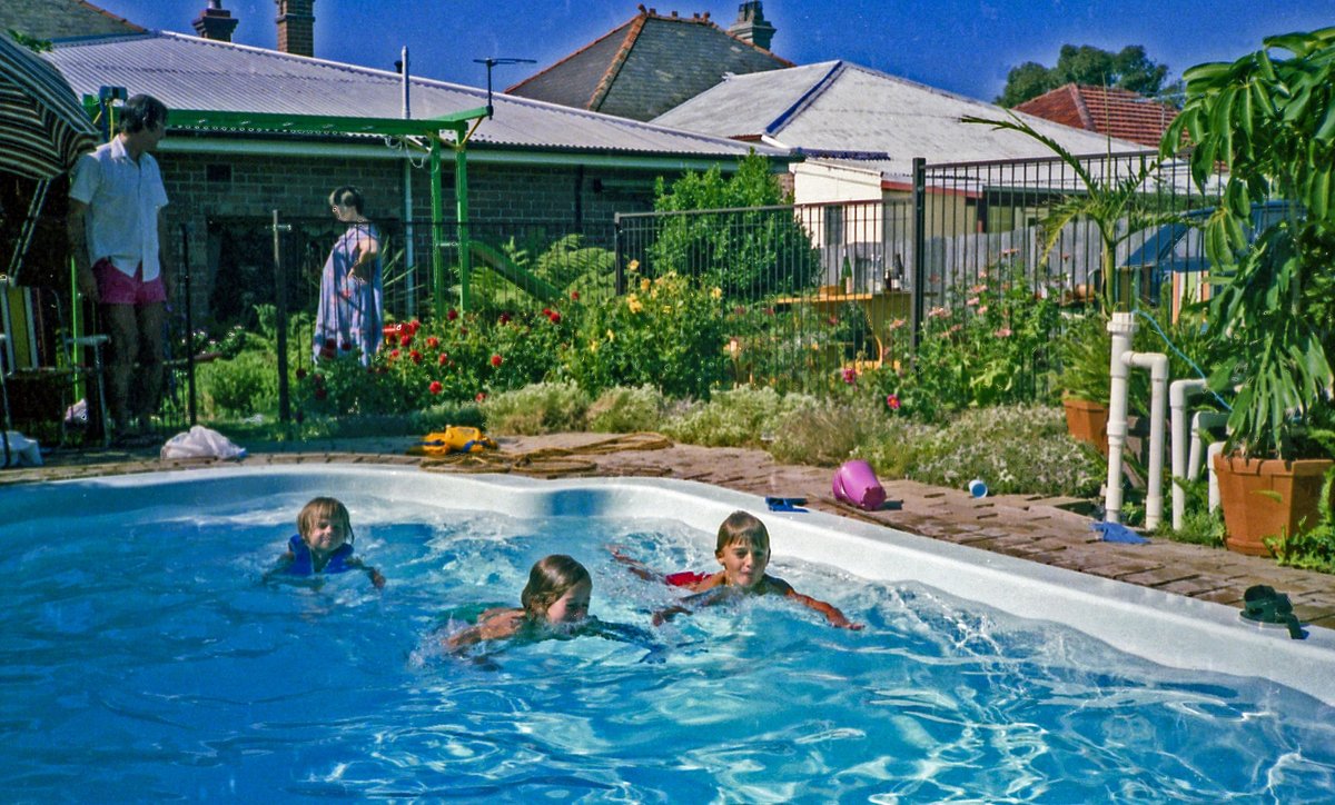 742p Sydney backyard, Feb 84 (1984)