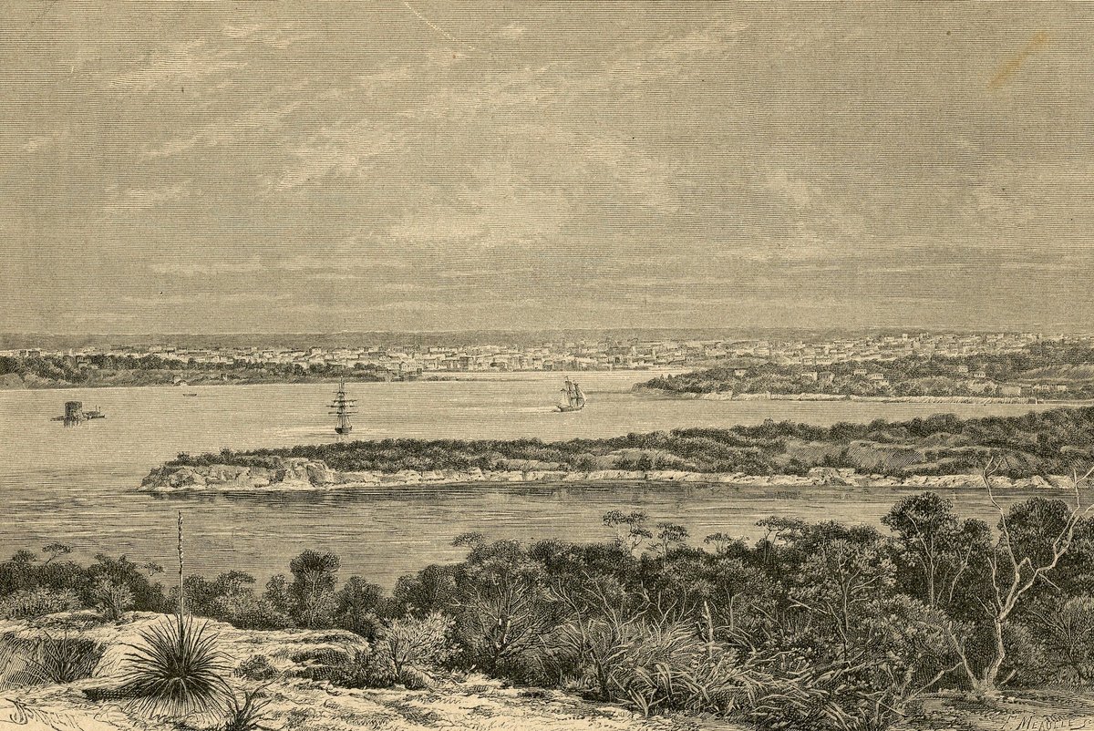 Veduta generale di Sydney (1892)