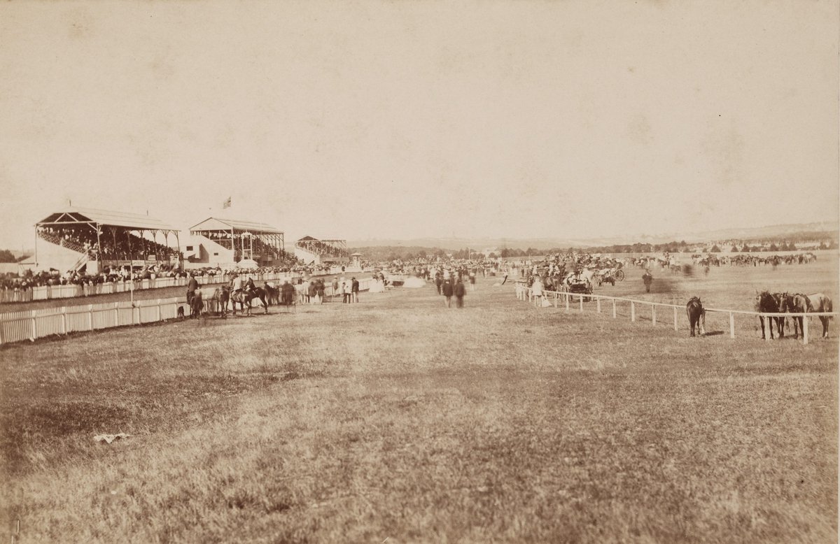 Randwick Races Holtermann c. 1875