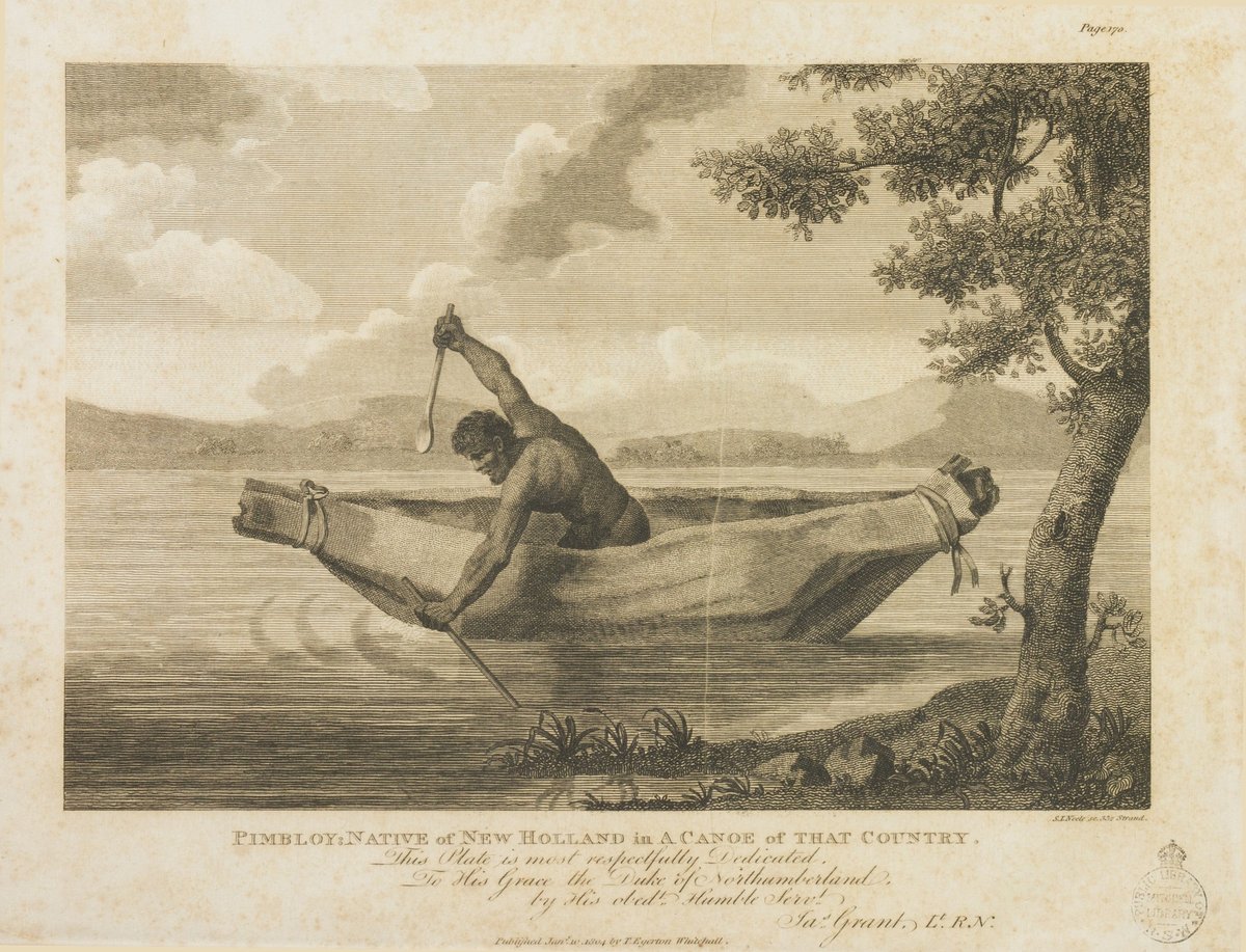 Grant 1803 Pimbloy Native in Canoe, Sydney