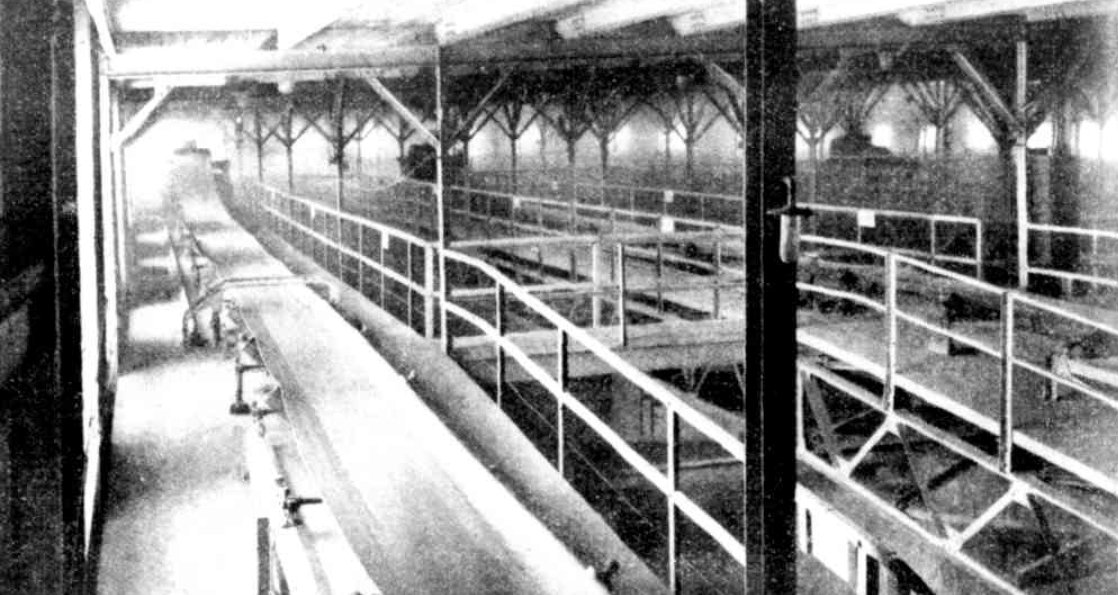 White Bay, NSW - Grain travelling on conveyor belts to elevators (Weekly Times (Melbourne) Sat 16 July 1927, Page 42), Sydney