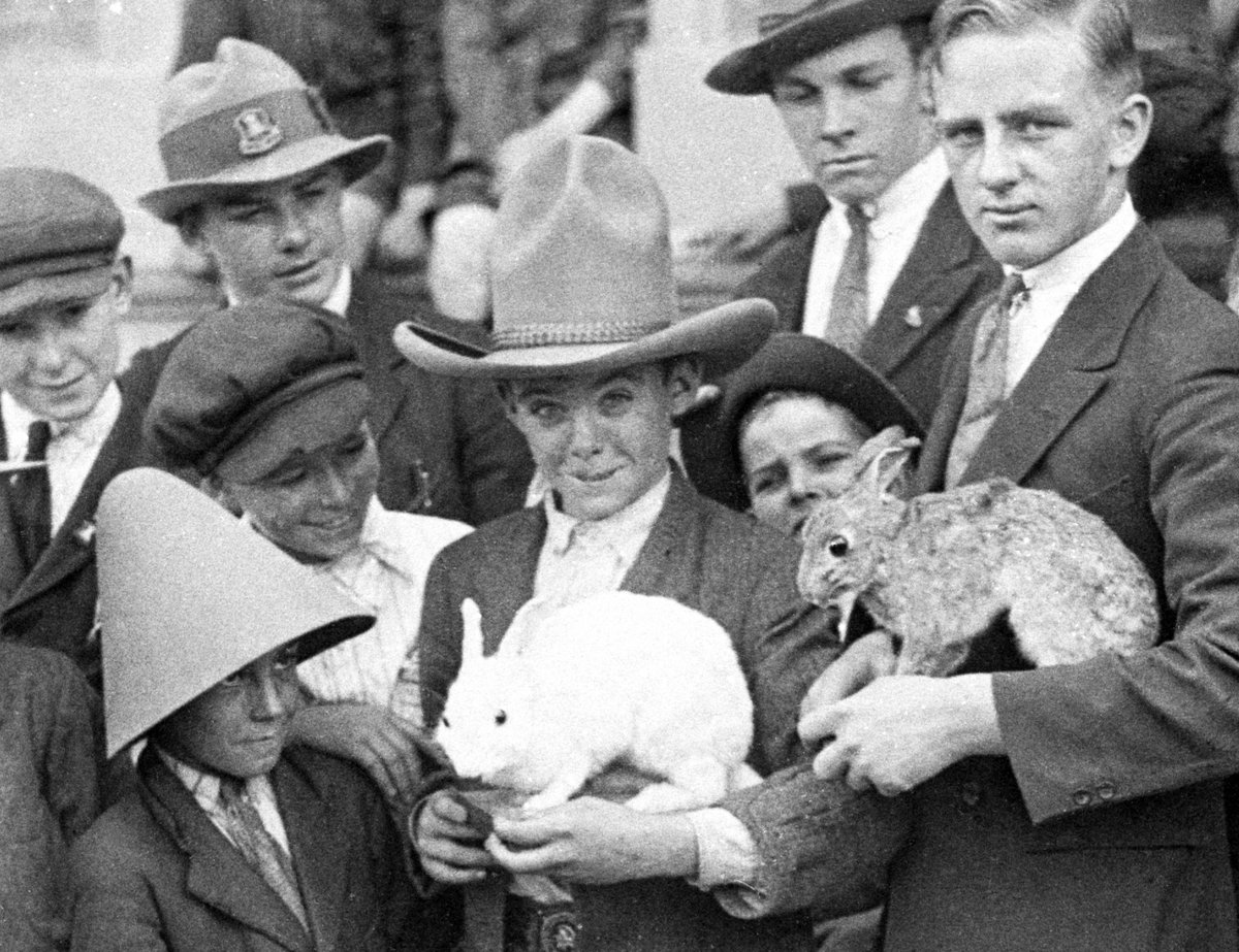 Fort Street schoolboys being shown rabbit fur felt hat-making, 1927 - Sam Hood cutout