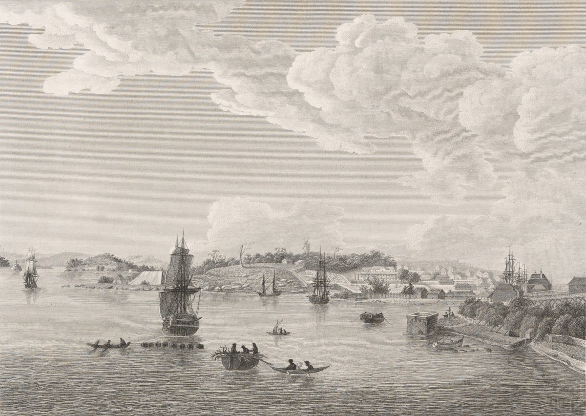 Sydney Lesueur c. 1802 LSLNSW FL4432174, Potts Point