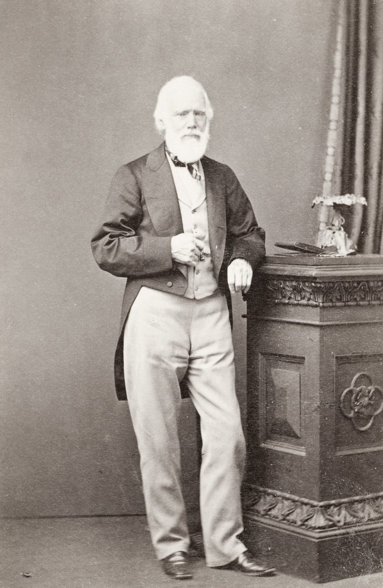 George Fife Angas, Sydney city centre (1870)