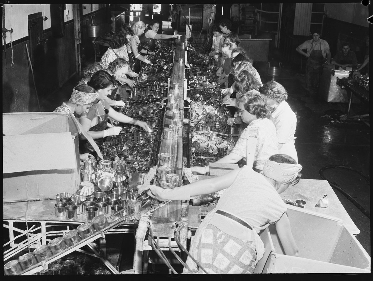 Cannery, Eden slsnw, Sydney city centre (1952)