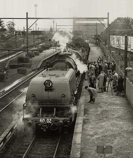 6002 trial Nth Strath, 1952