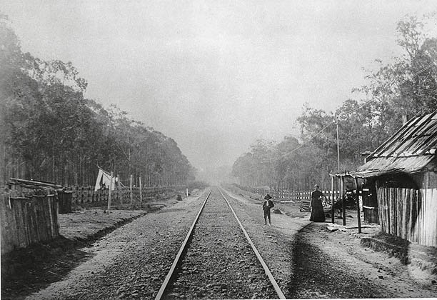 Railway Station - Toongabbie, c. 1880
