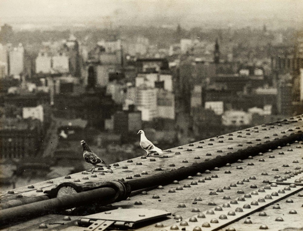 A Birds Eye View, Sydney Harbour Bridge (c. 1931)