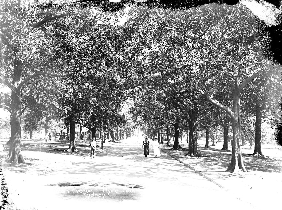 Hyde Park, Sydney (NSW), Sydney city centre (c. 1908)