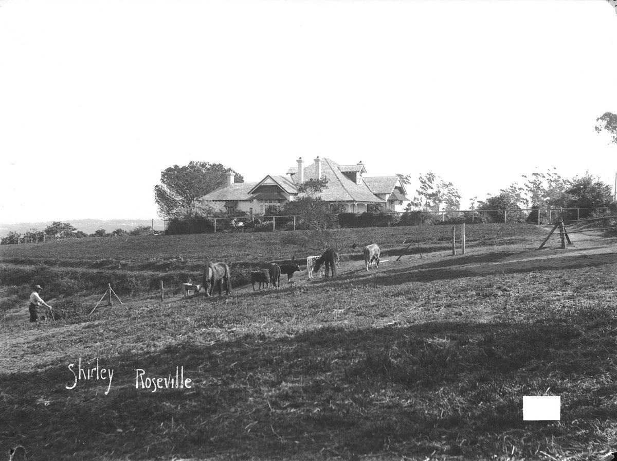 Shirley at Roseville (NSW) (c. 1908)