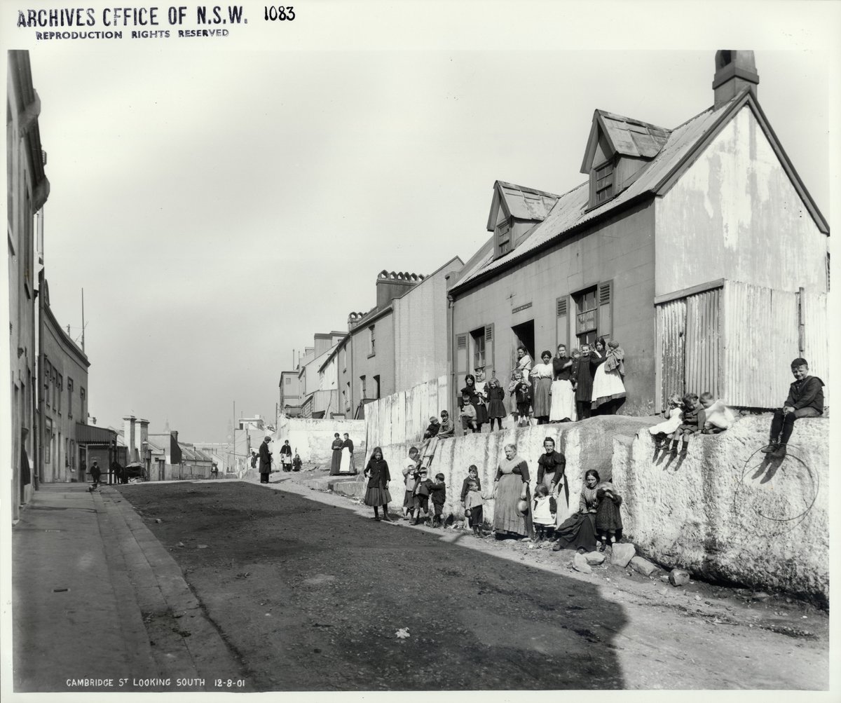 Looking south on Cambridge Street, The Rocks (NSW) (Rocks Resumption photographic survey) (1901)